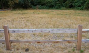 Wooden fence marking unclear property line in a grassy field