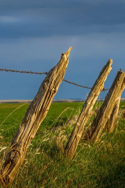 Leaning wooden fence posts showing how small quakes can shift property boundaries
