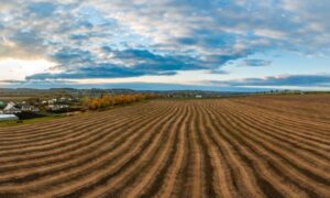 Aerial open land future development site - ALTA SURVEY Missouri Aerial view of open land showing natural slopes and elevation changes, the kind of terrain a topo survey evaluates during early stadium site planning