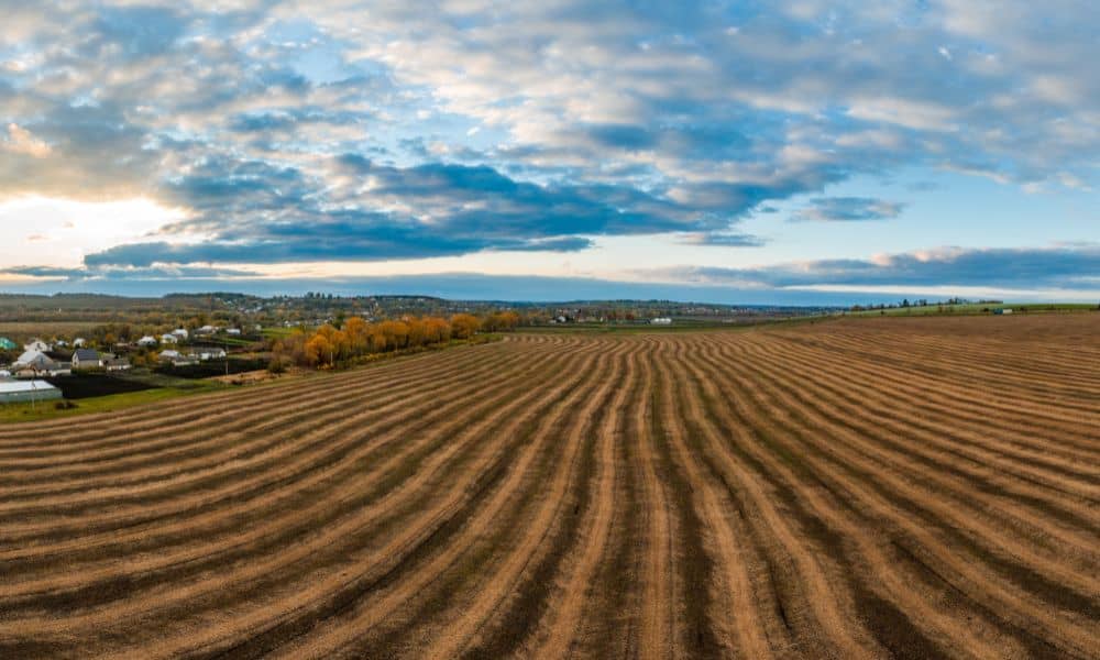 Aerial view of open land showing natural slopes and elevation changes, the kind of terrain a topo survey evaluates during early stadium site planning