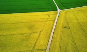 Aerial farmland boundary overview - ALTA SURVEY Missouri Aerial view of farmland divided into clear sections, showing why a due diligence survey helps landowners understand property boundaries during growth periods